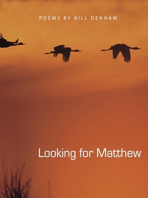 cover image of Looking for Matthew
